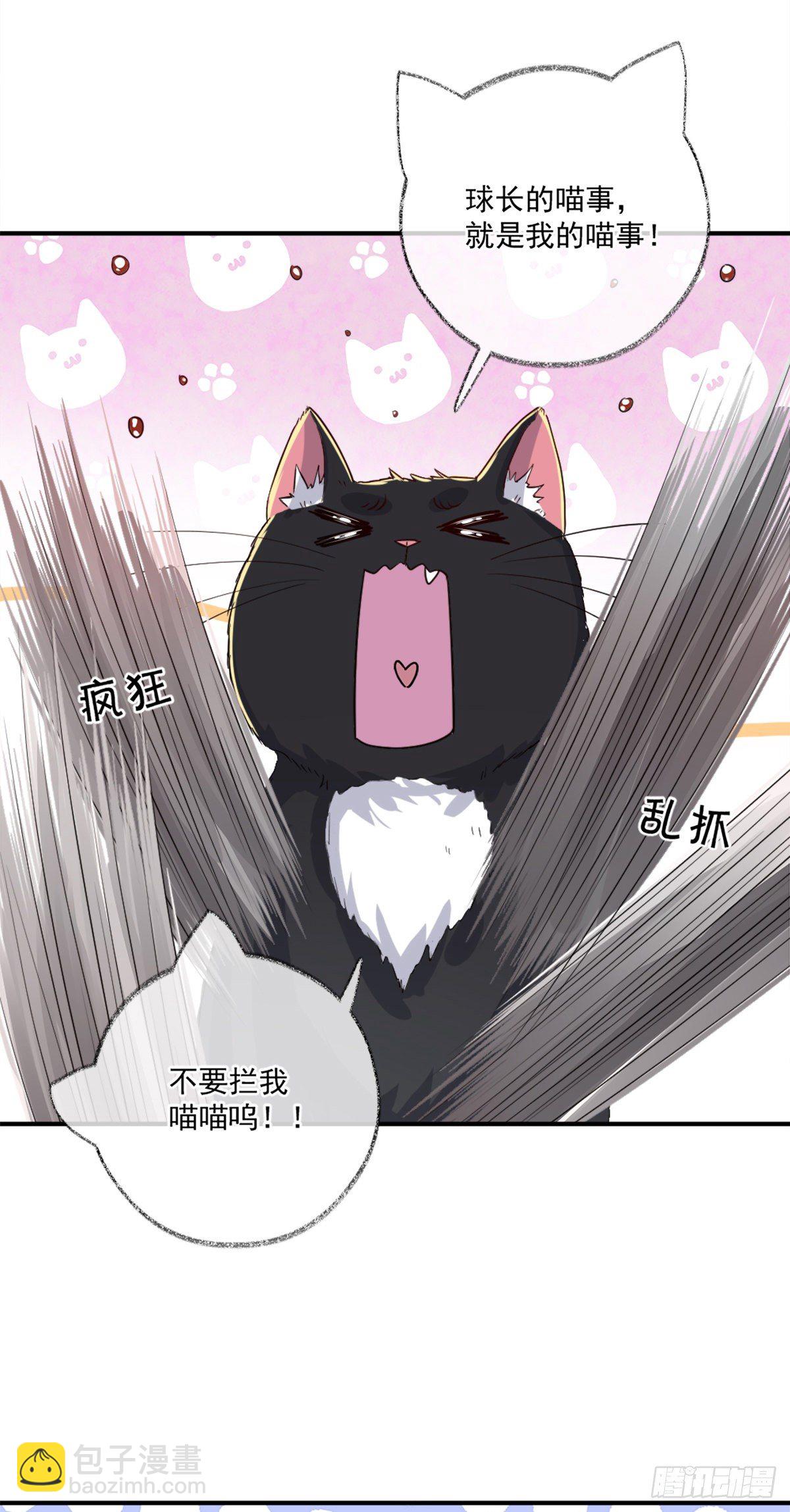 就要和你在一起喵~-第13话