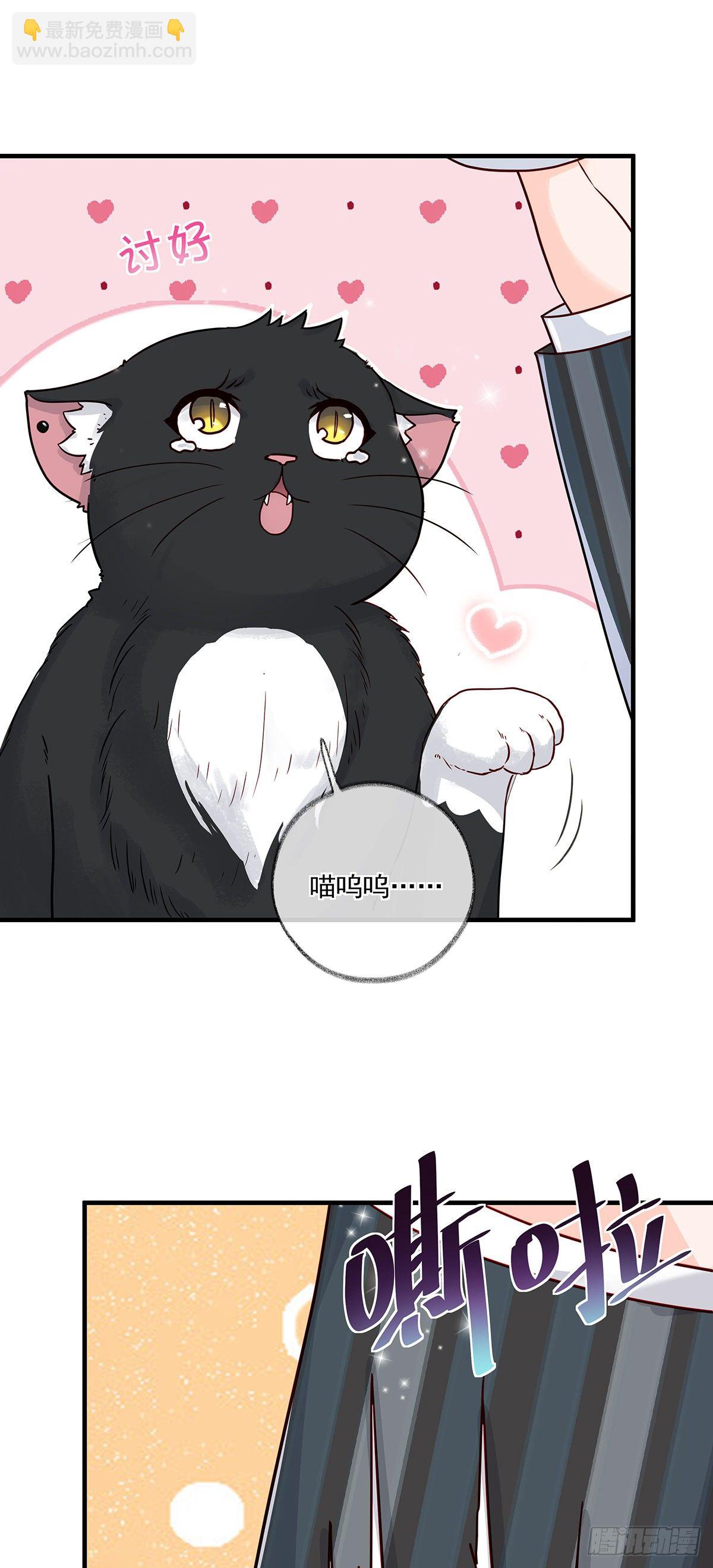 报恩是什么喵~-第3话