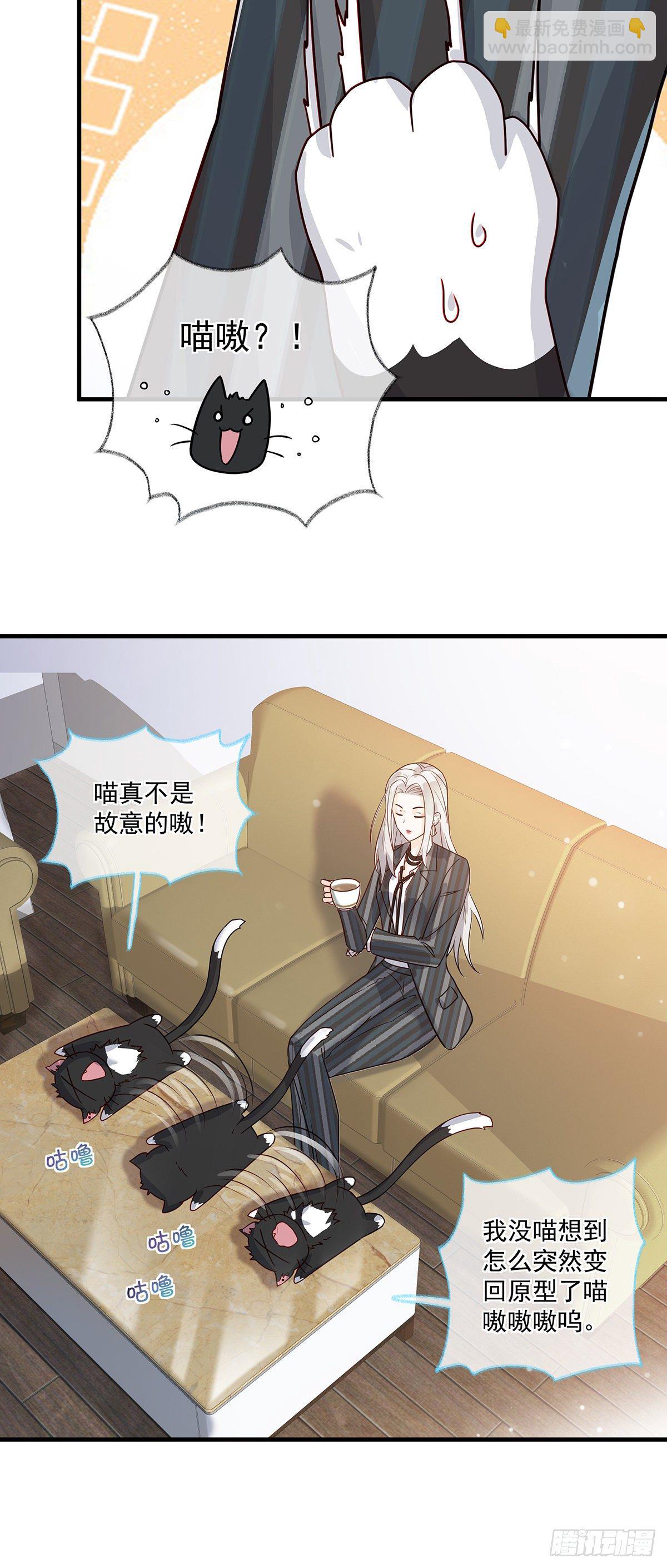 报恩是什么喵~-第3话
