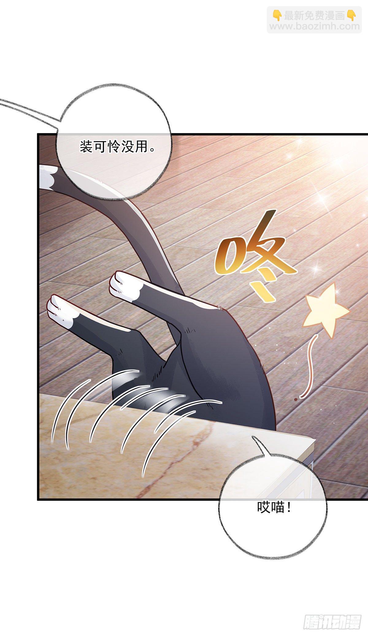 报恩是什么喵~-第3话