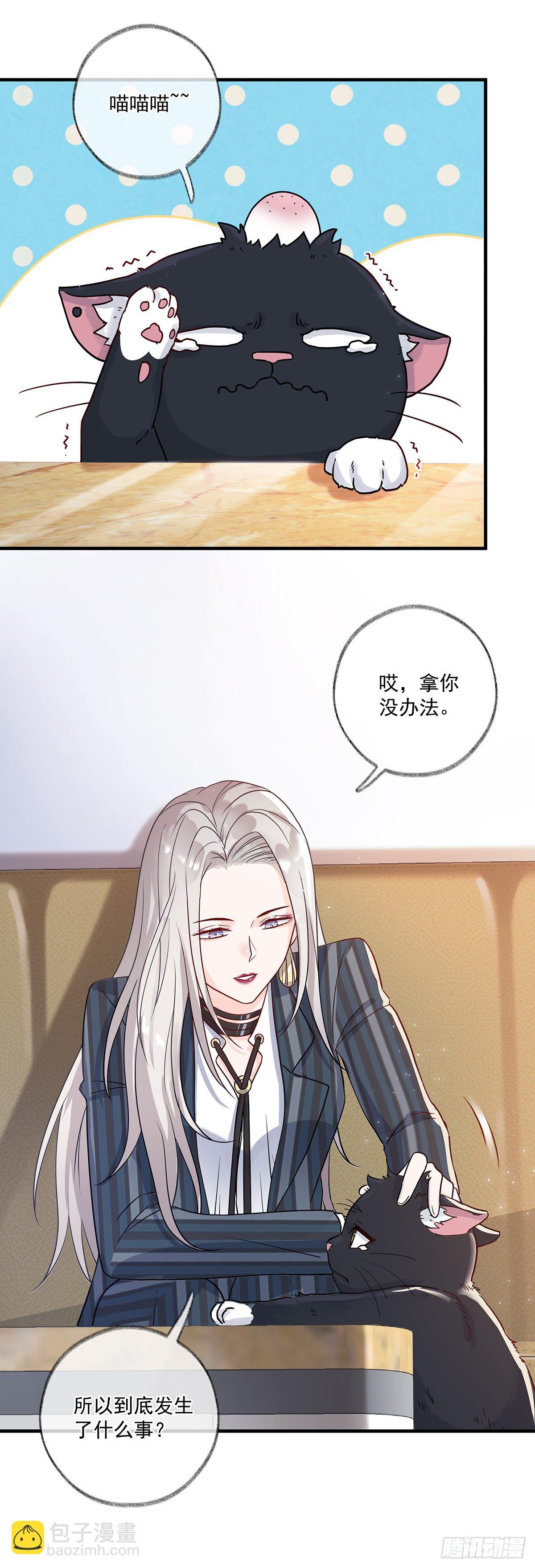 报恩是什么喵~-第3话