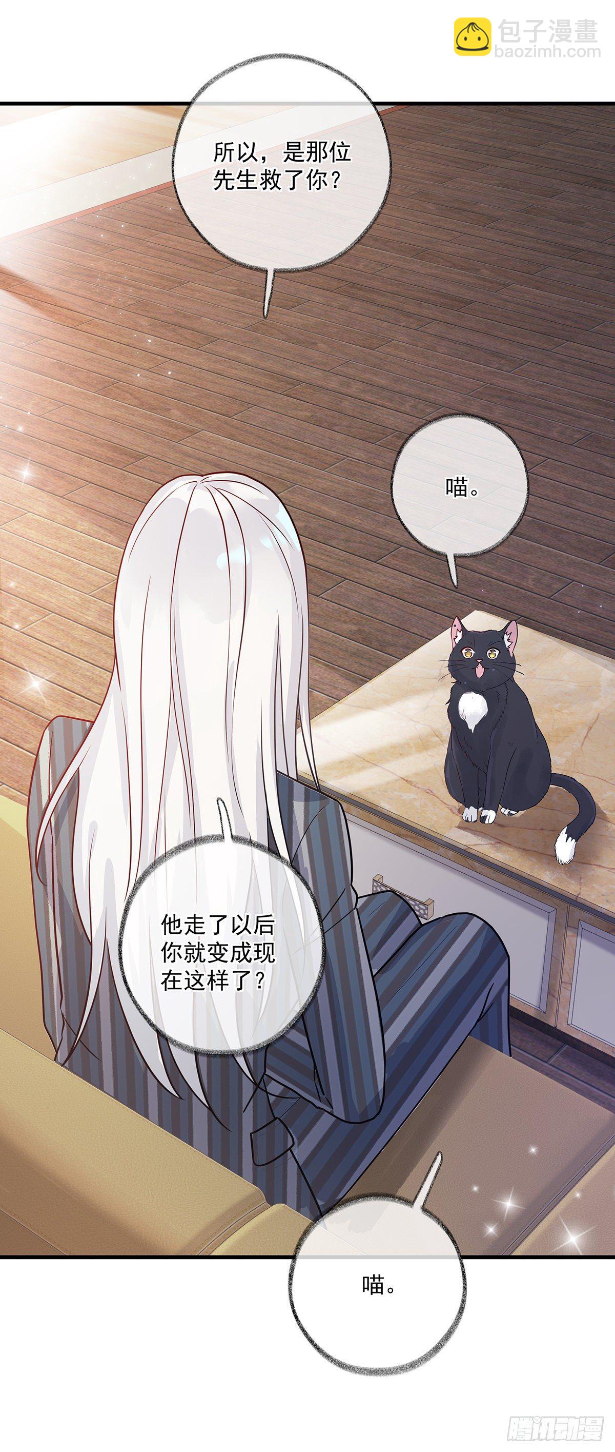 报恩是什么喵~-第3话
