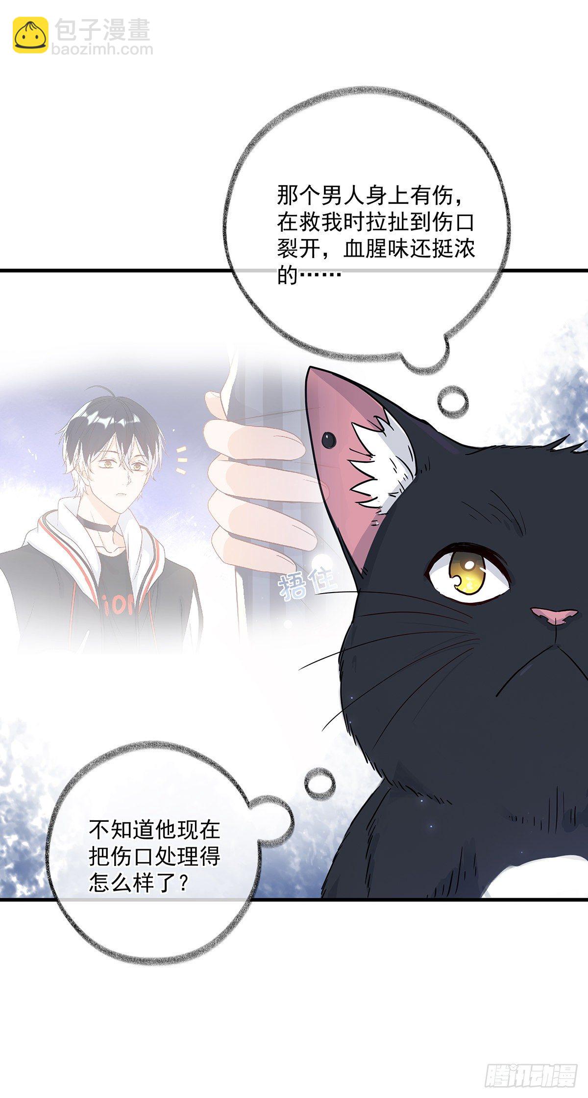 报恩是什么喵~-第3话