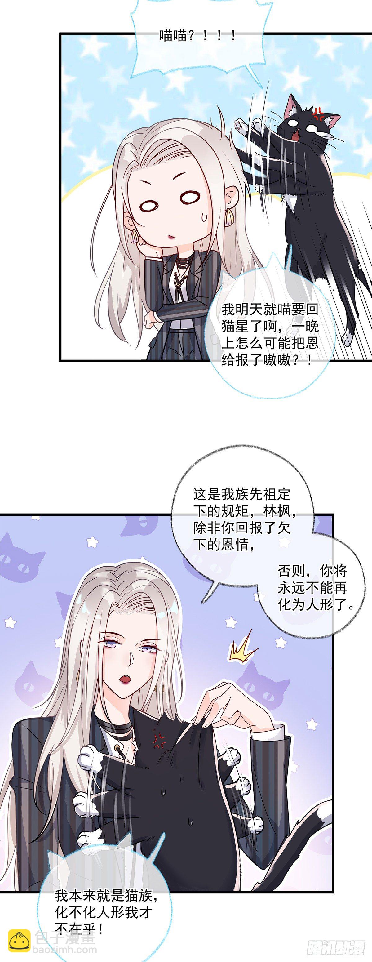 报恩是什么喵~-第3话