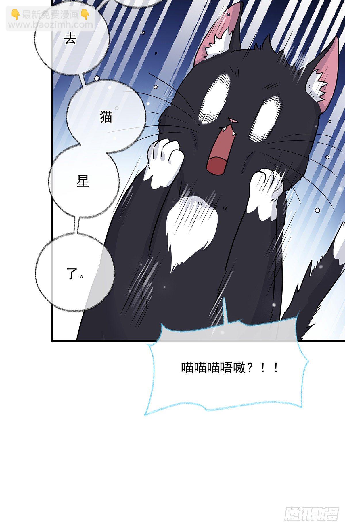 报恩是什么喵~-第3话