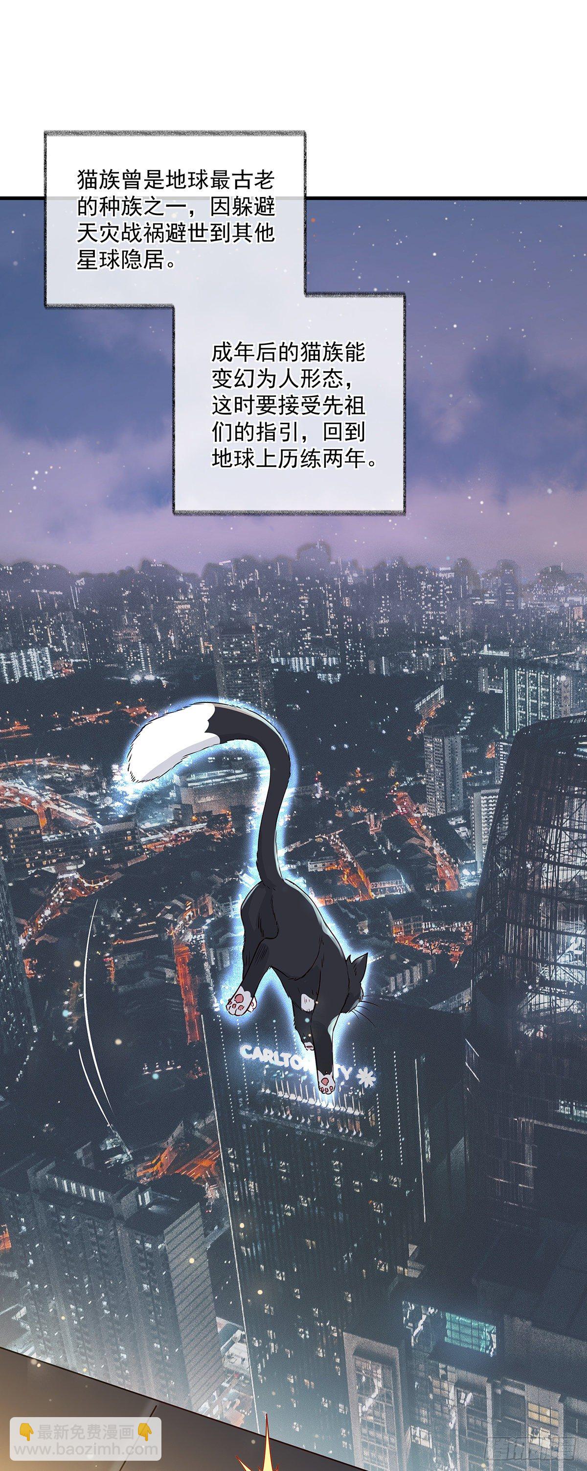 报恩是什么喵~-第3话