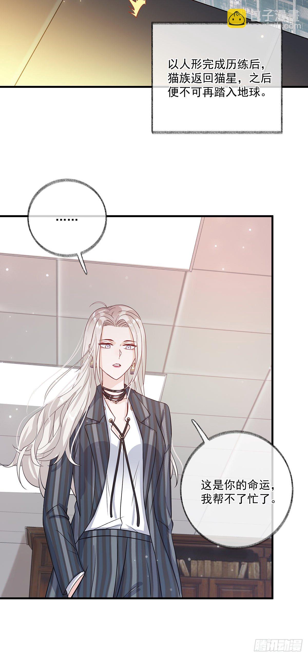 报恩是什么喵~-第3话