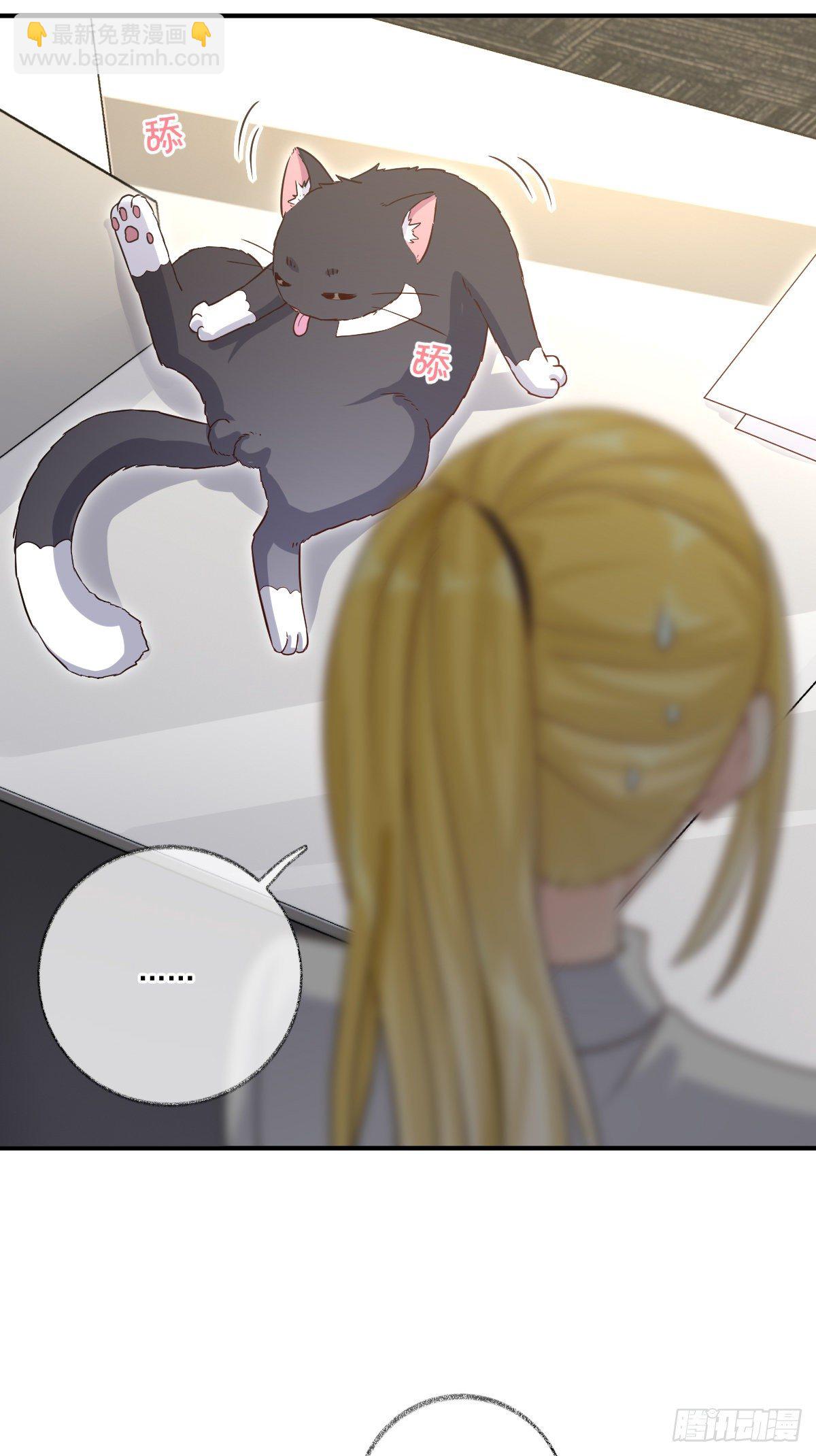 群猫踢馆喵~-第21话