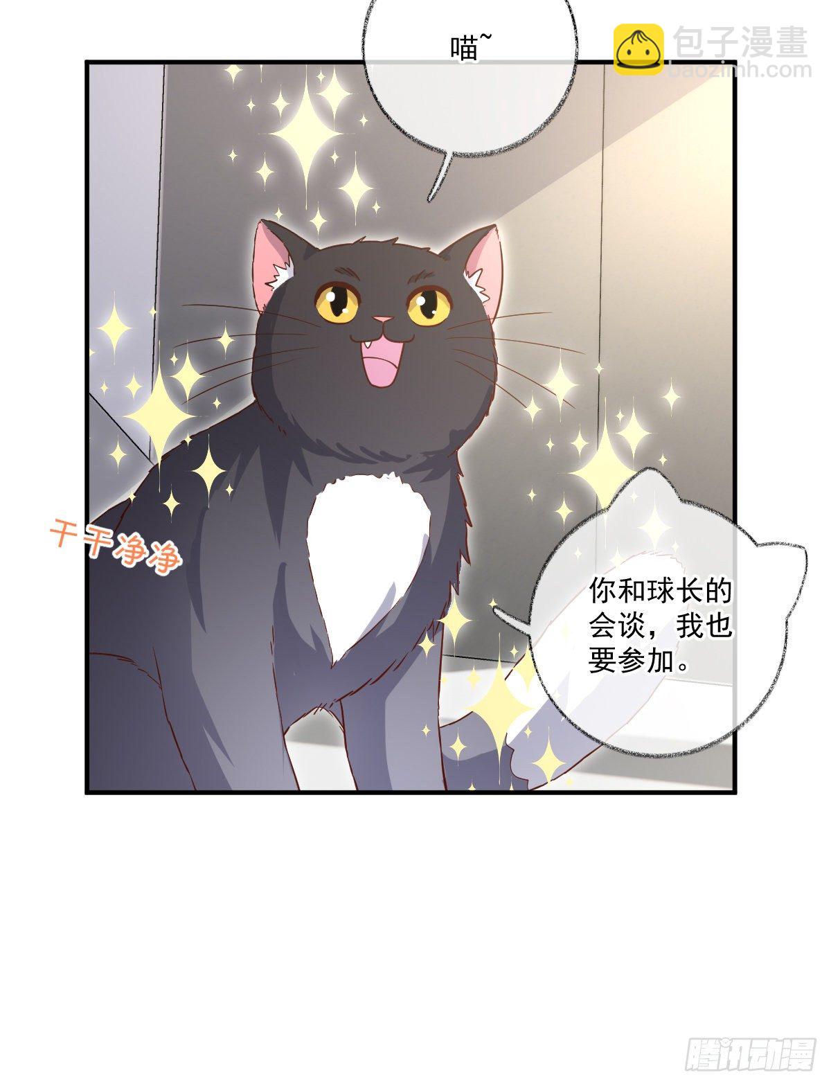 群猫踢馆喵~-第21话