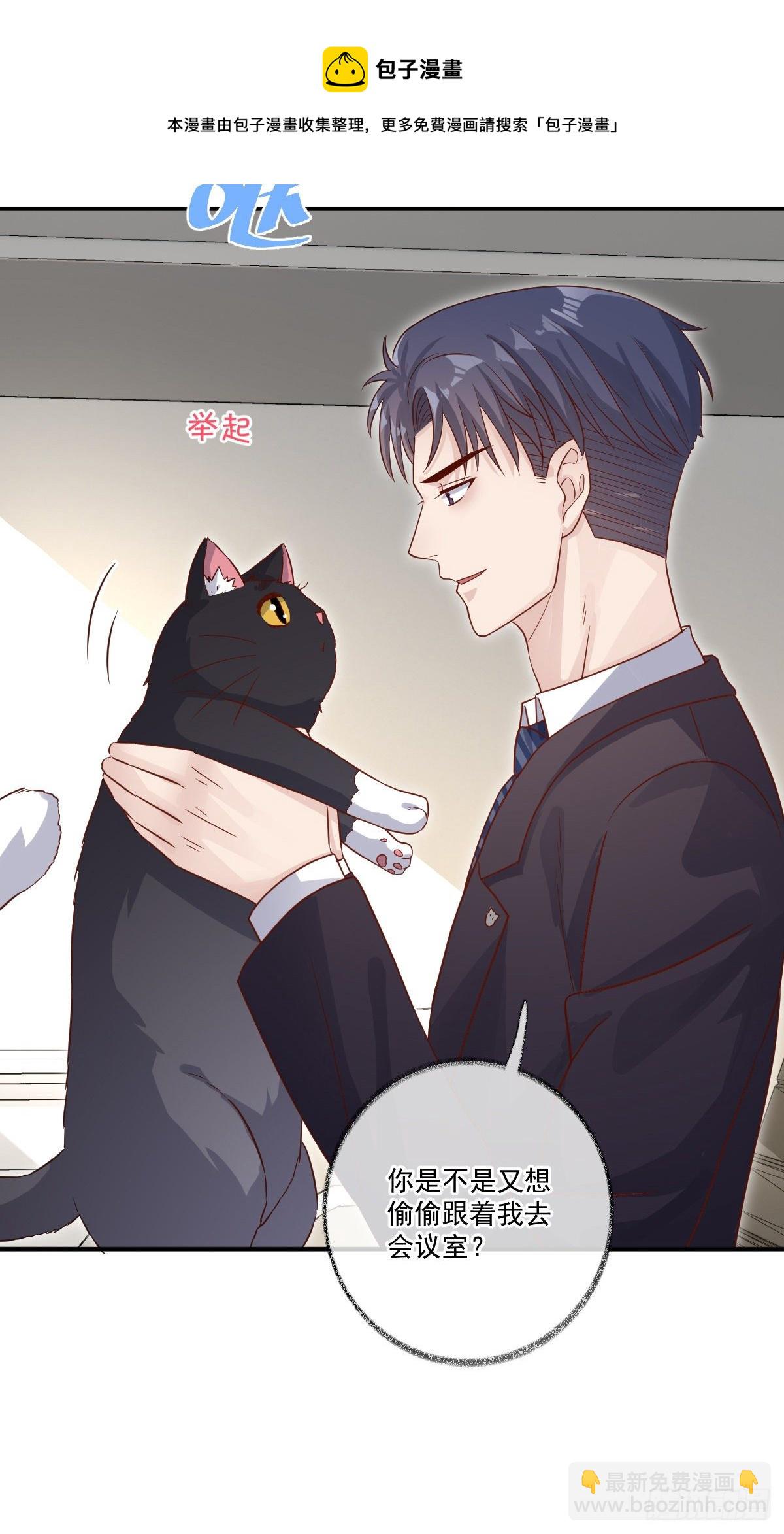 群猫踢馆喵~-第21话