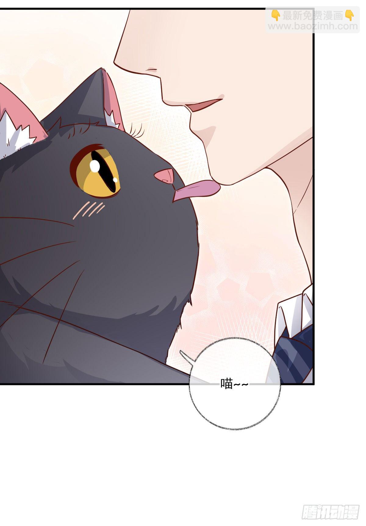 群猫踢馆喵~-第21话