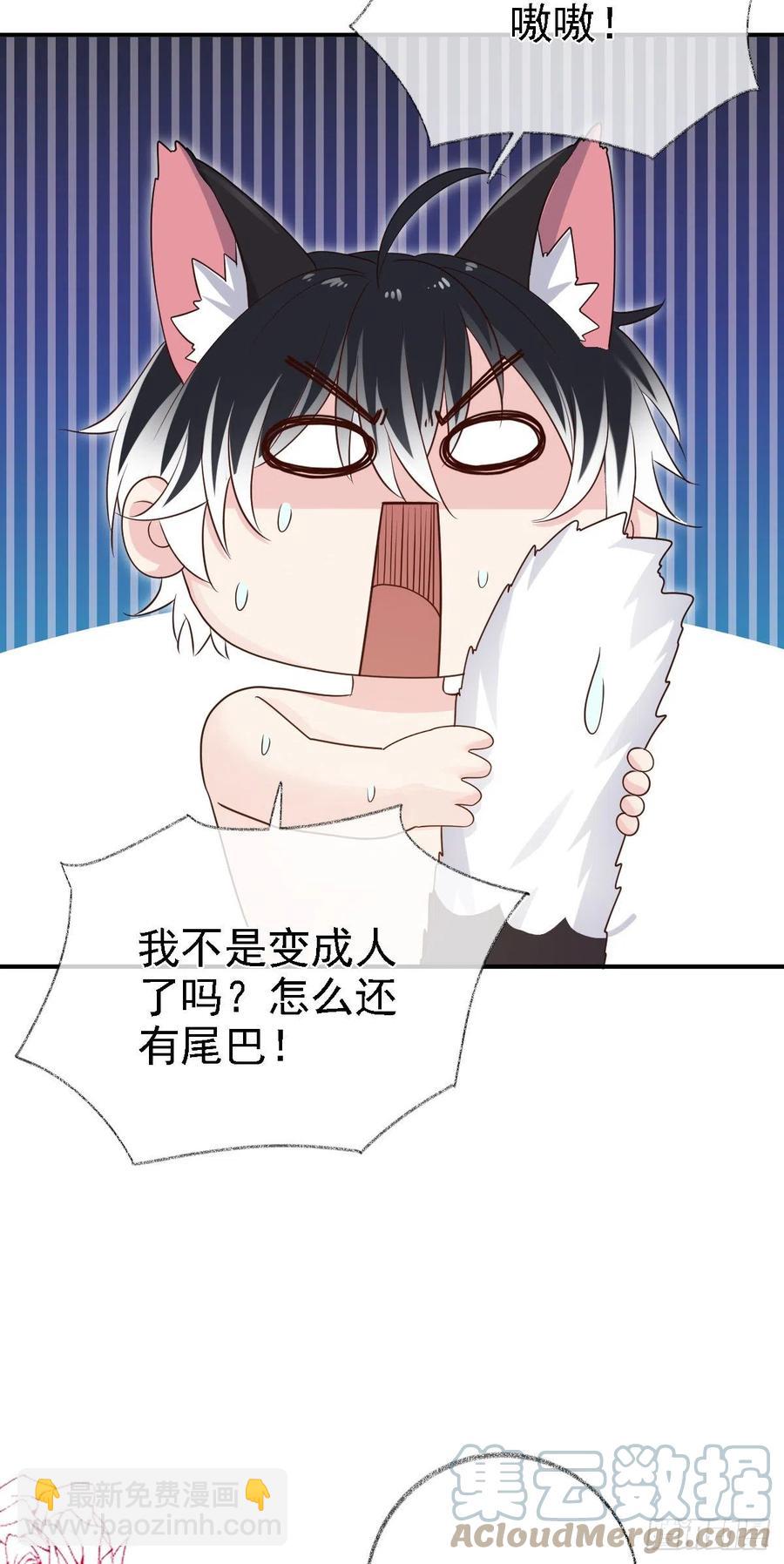 猫耳少年喵~-第29话