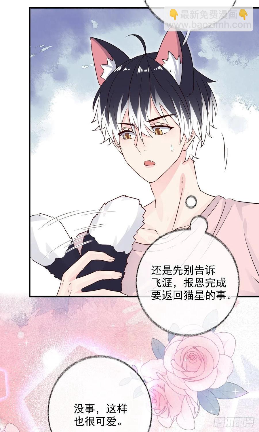 要我帮你洗澡吗喵~-第31话