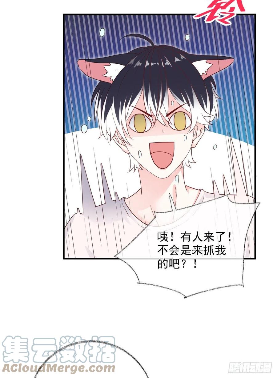 恋爱烦恼喵~-第33话