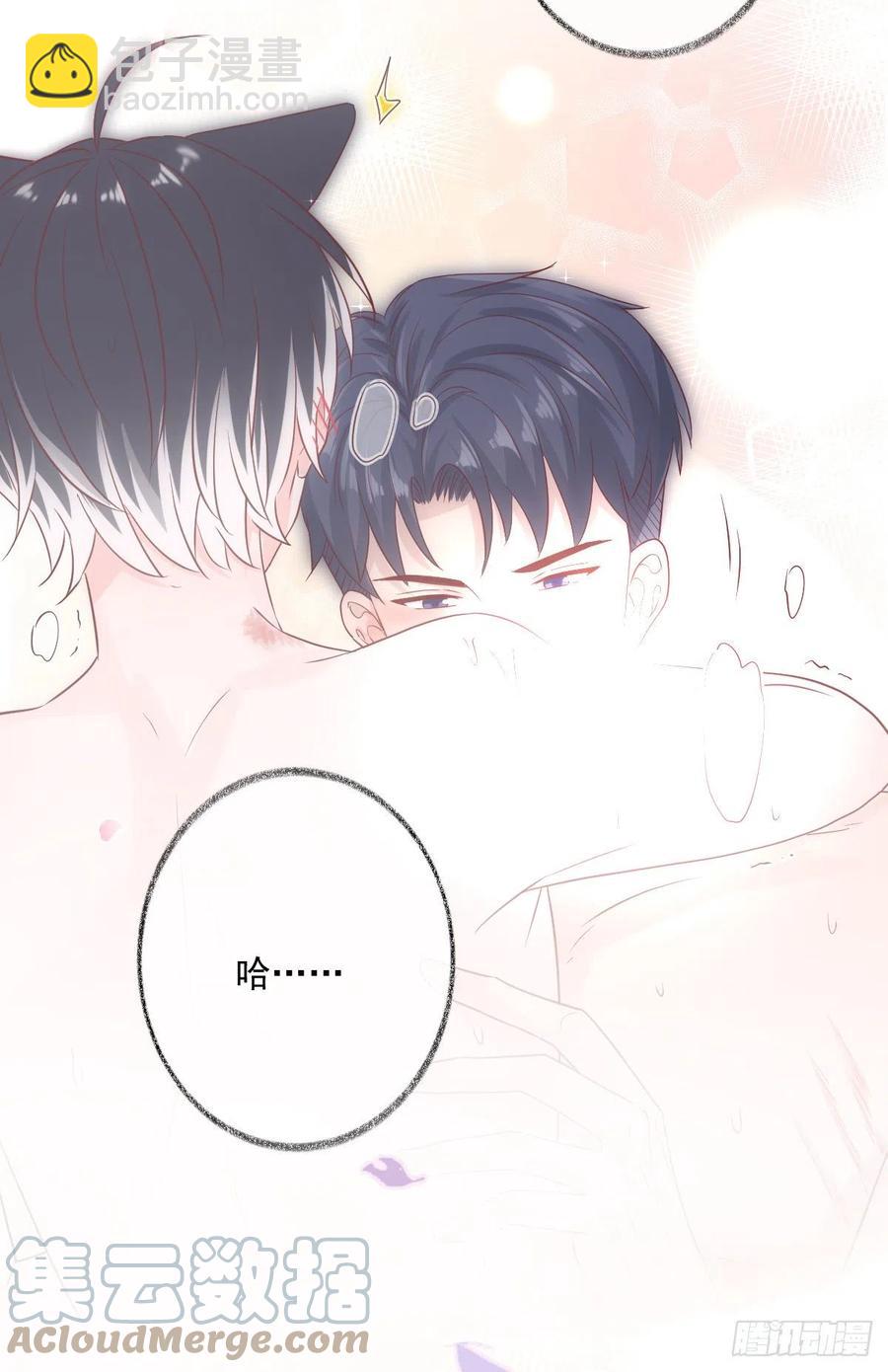 一晚上的事喵~-第37话
