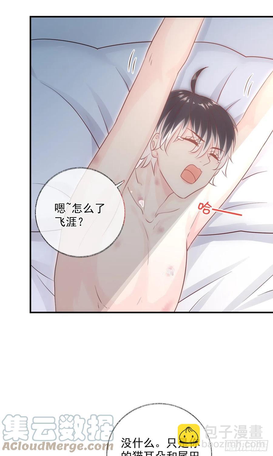 一晚上的事喵~-第37话