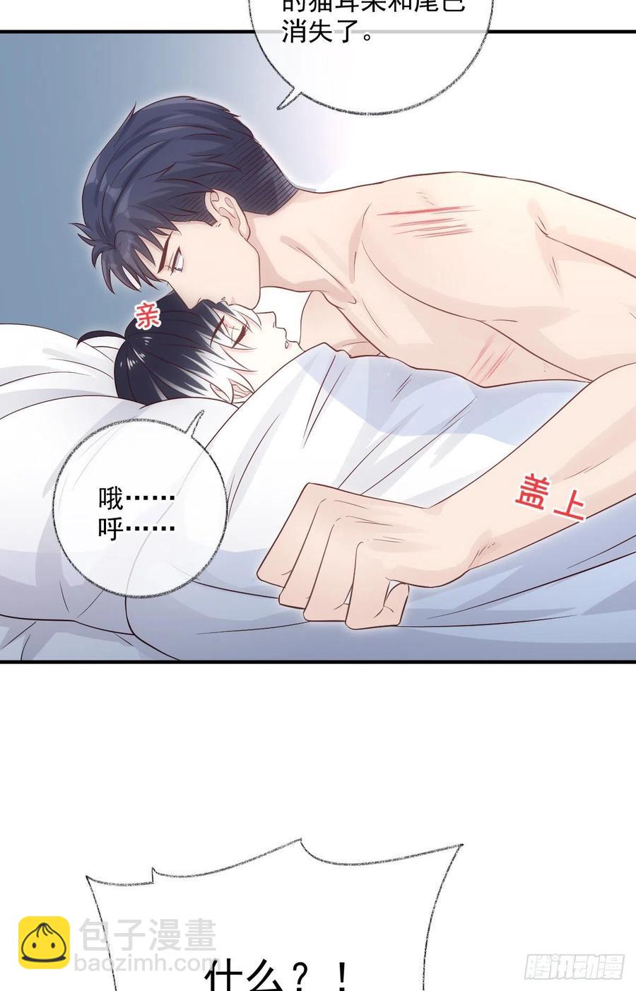 一晚上的事喵~-第37话