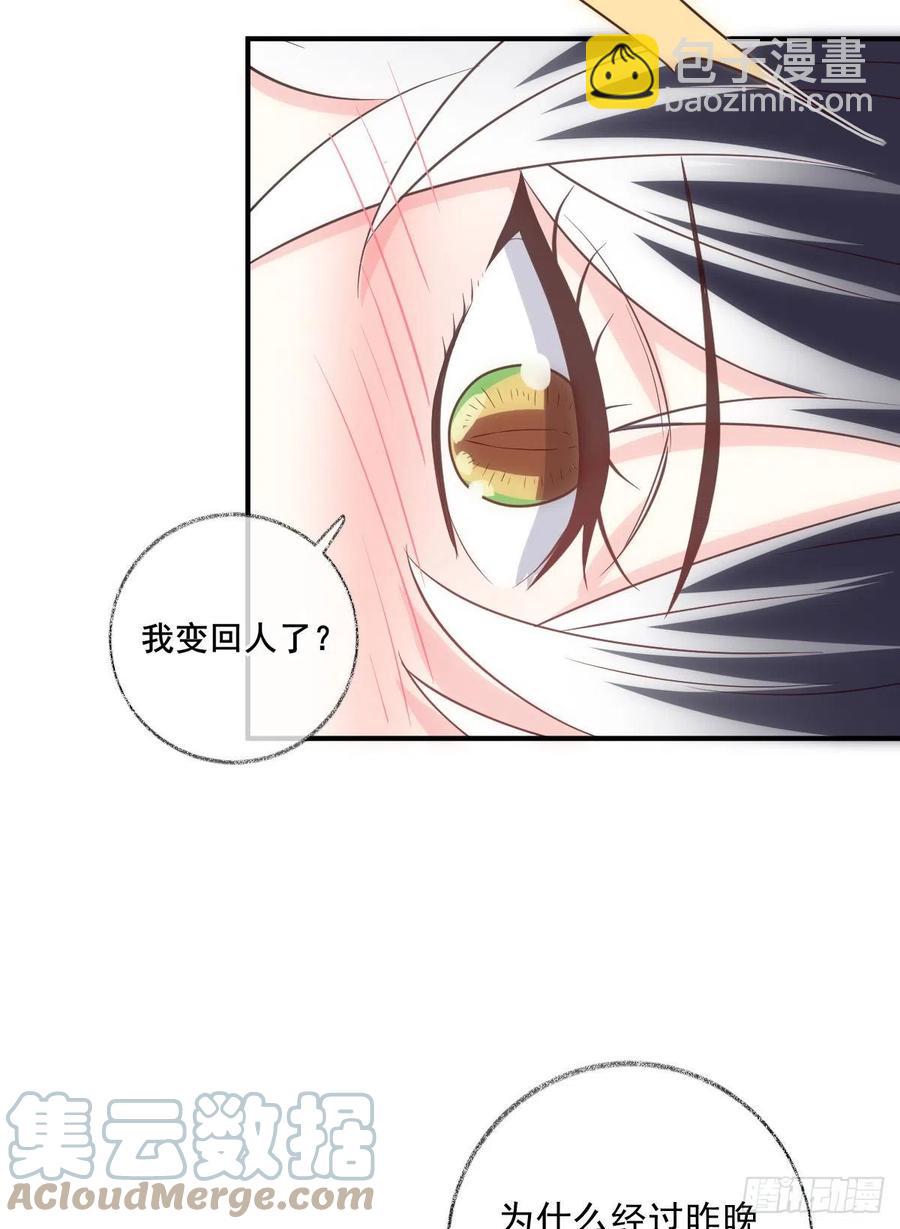 一晚上的事喵~-第37话