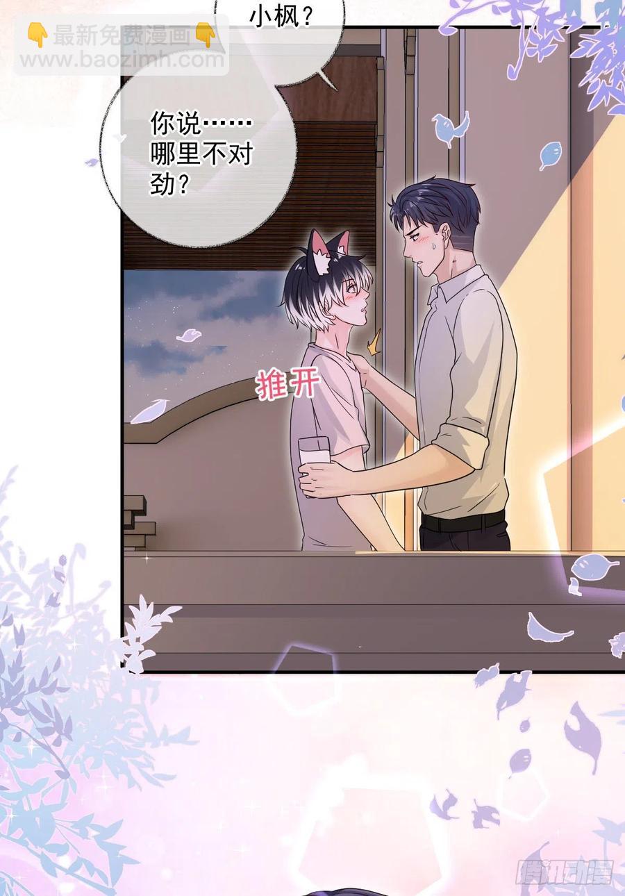 一晚上的事喵~-第37话
