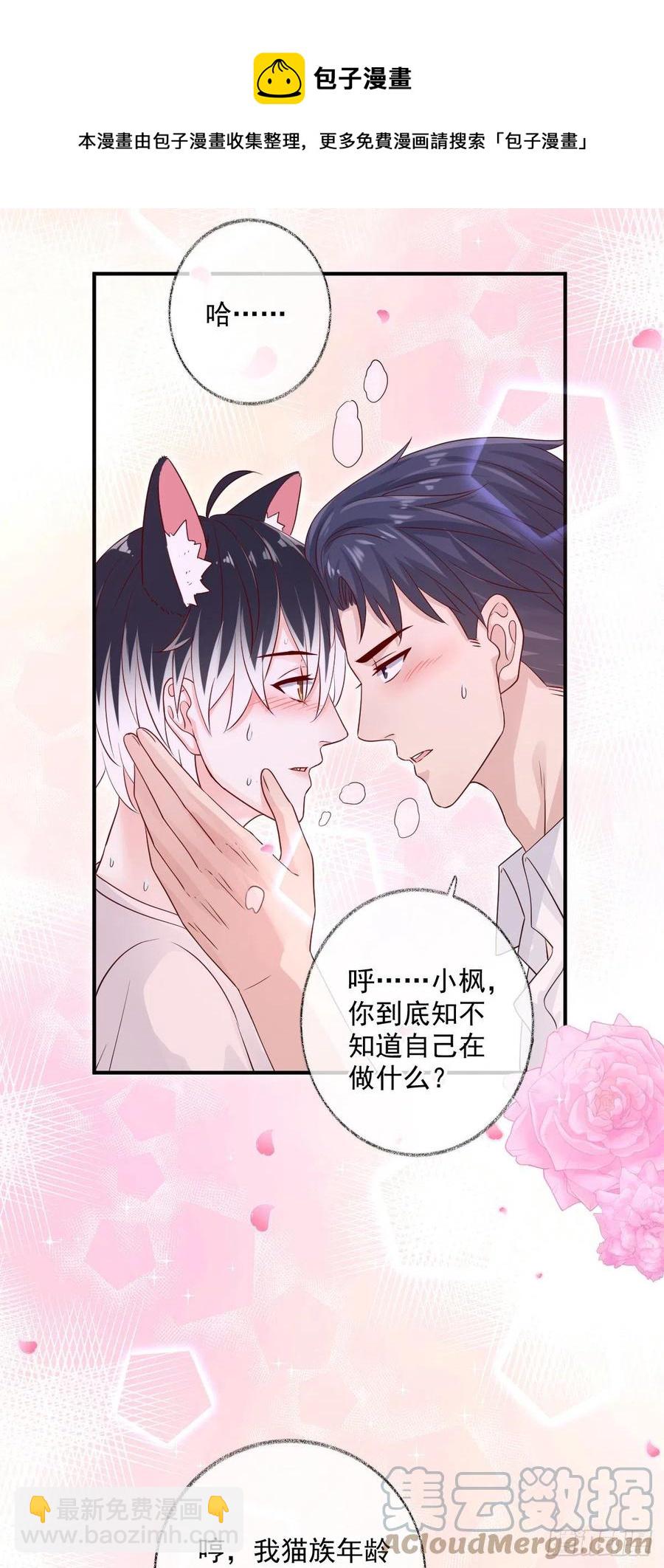 一晚上的事喵~-第37话