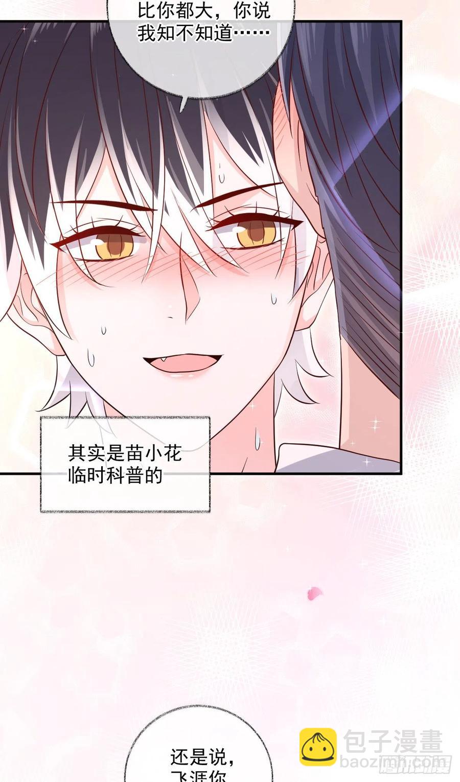 一晚上的事喵~-第37话