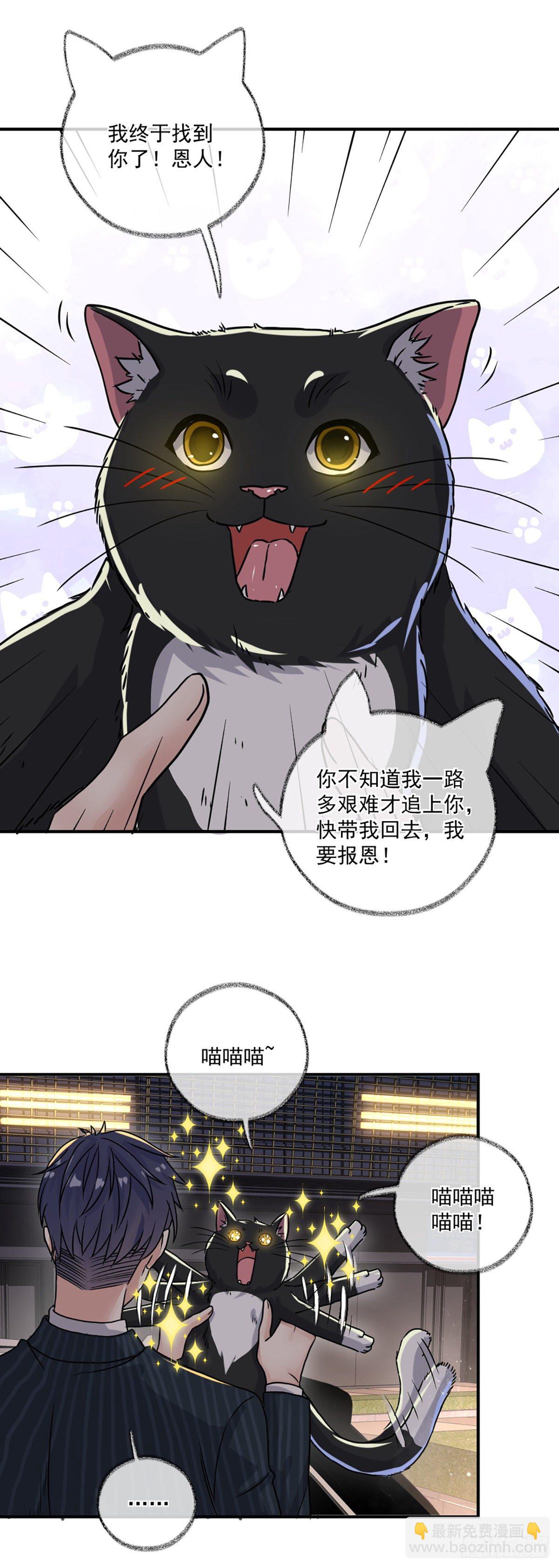 速度与激情喵~-第5话