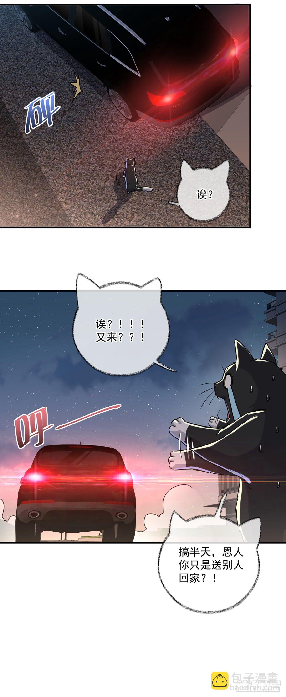 速度与激情喵~-第5话