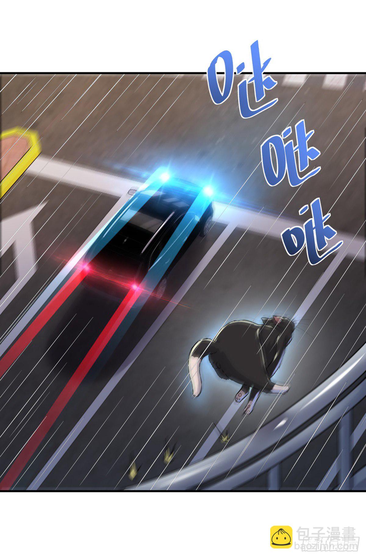 速度与激情喵~-第5话