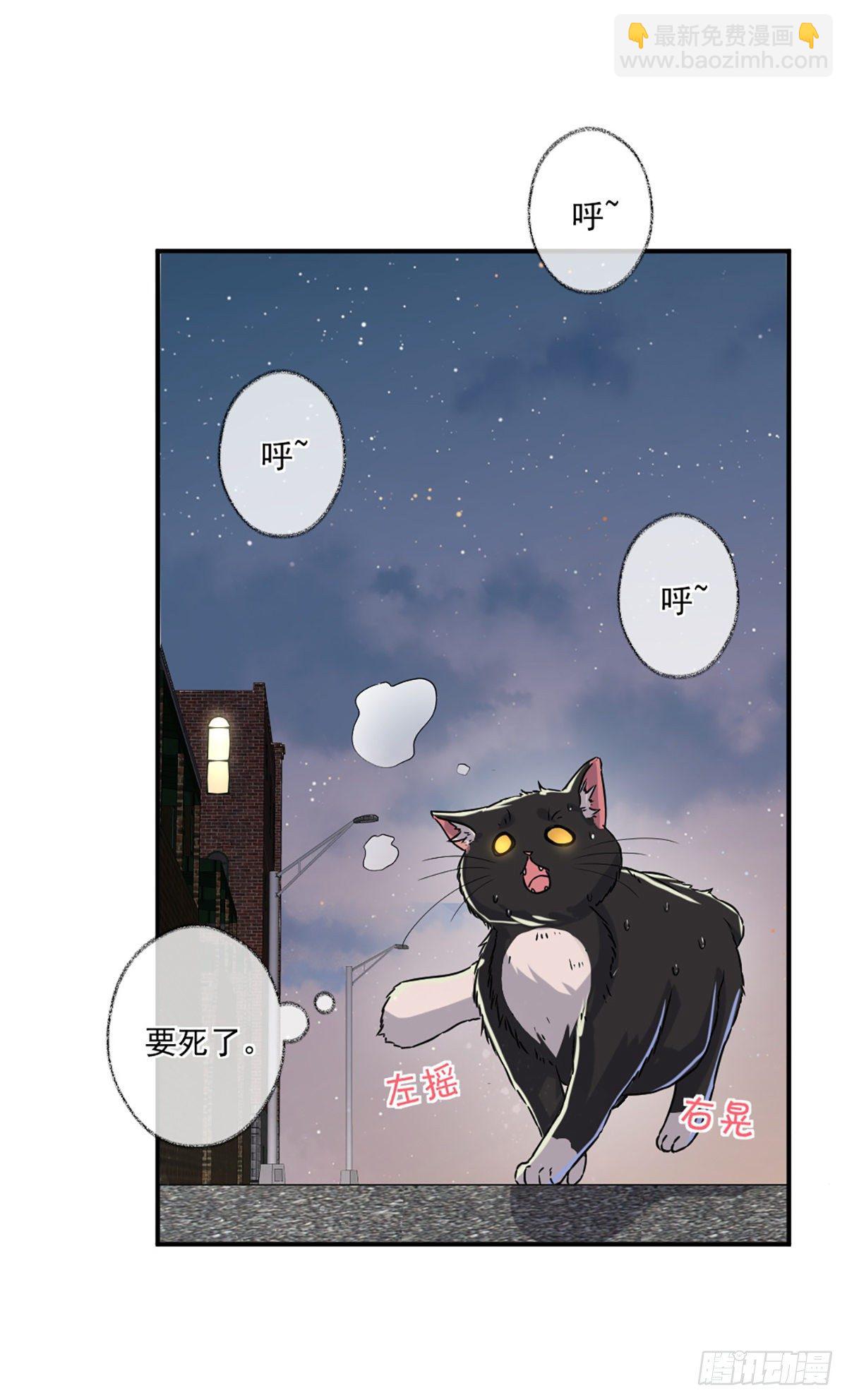 速度与激情喵~-第5话