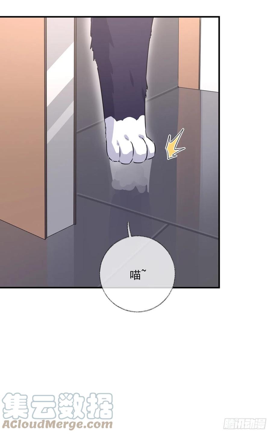 你我的见证喵~-第39话