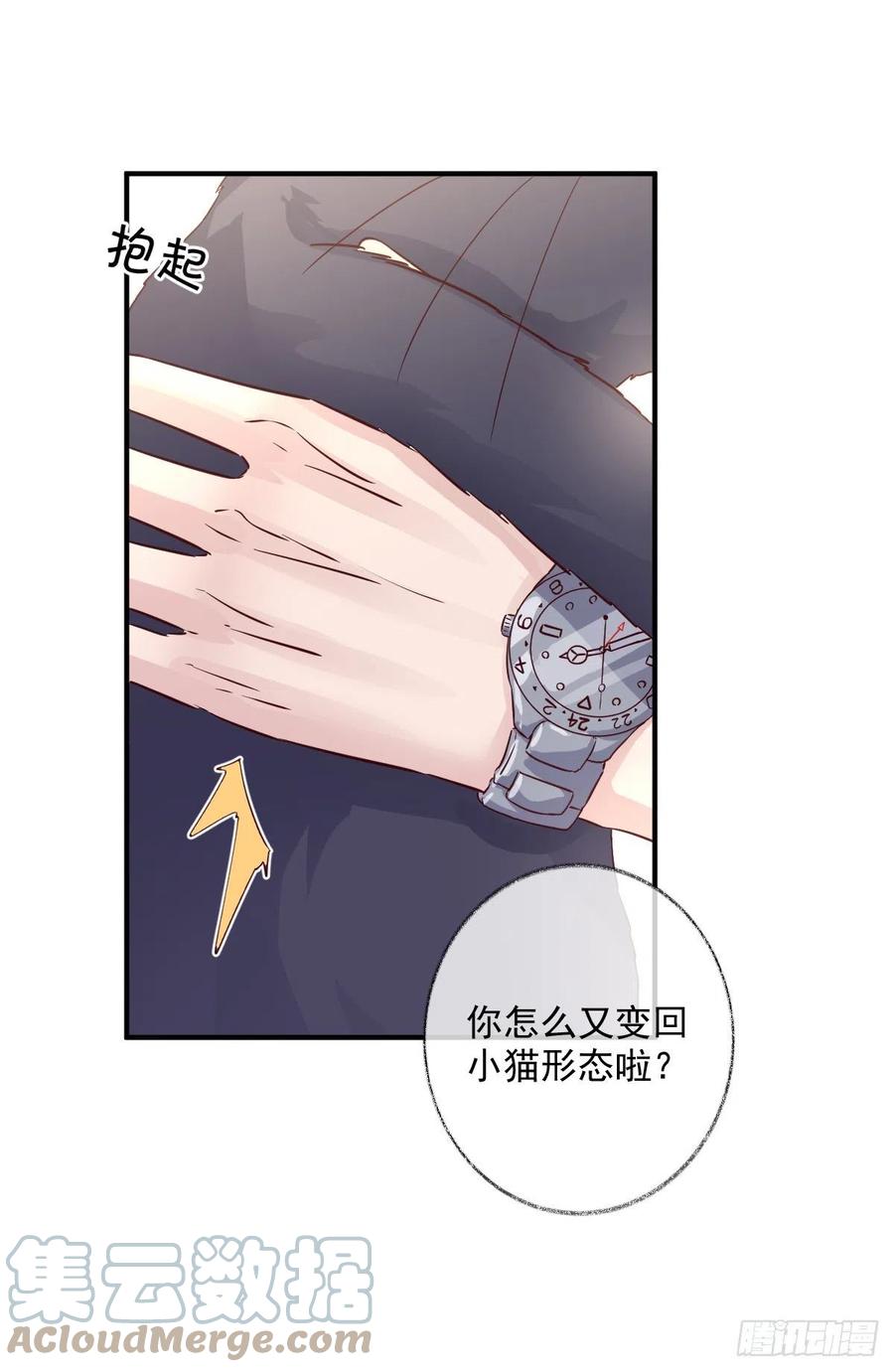 你我的见证喵~-第39话