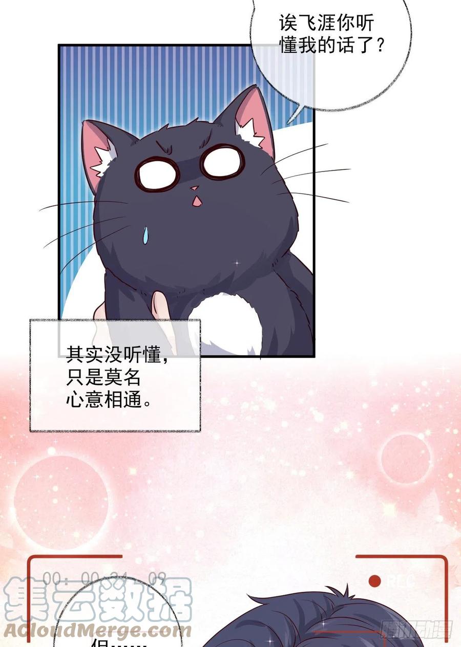 你我的见证喵~-第39话