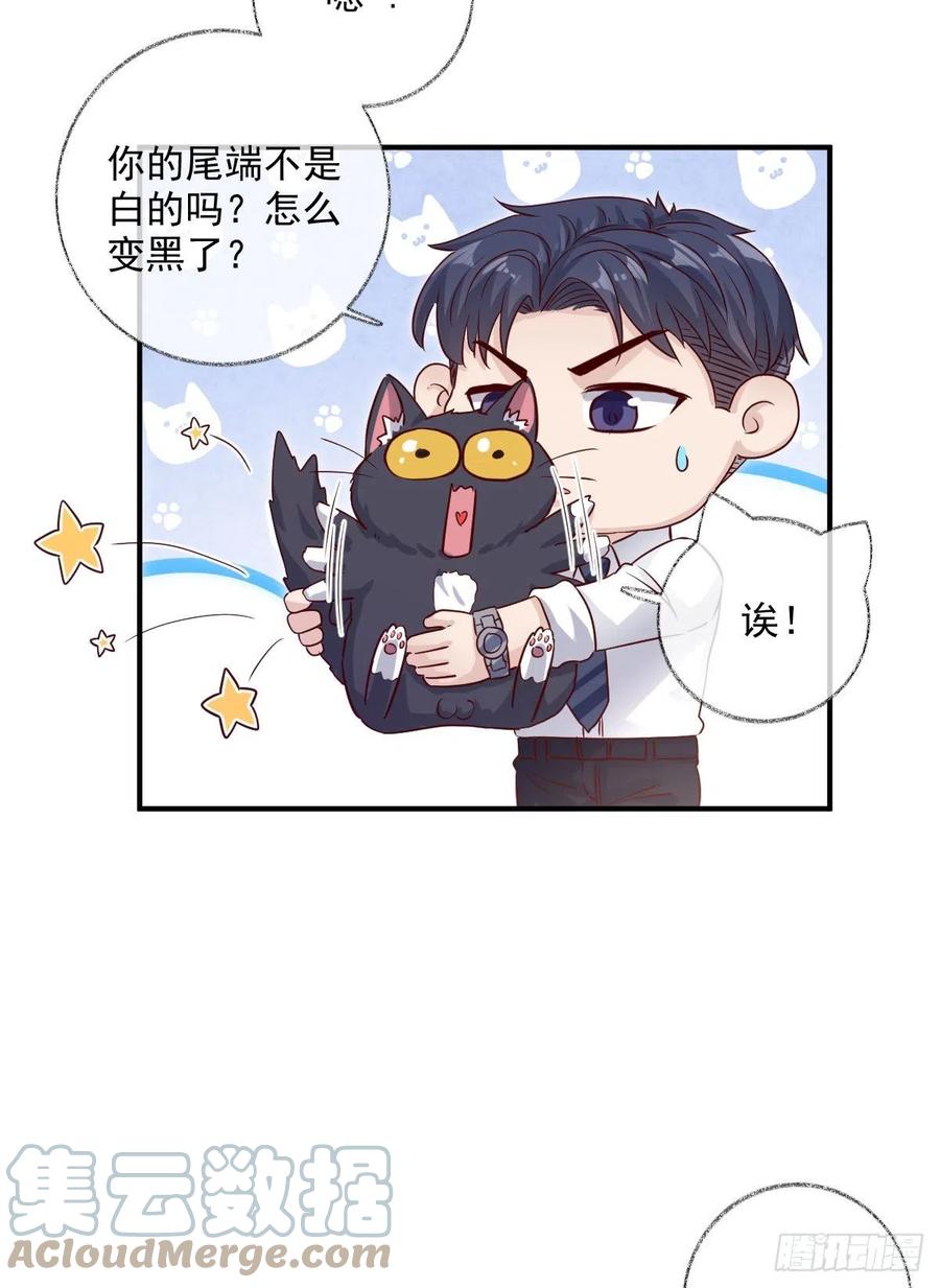 你我的见证喵~-第39话