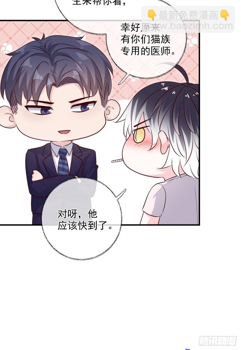 生病了喵~-第43话