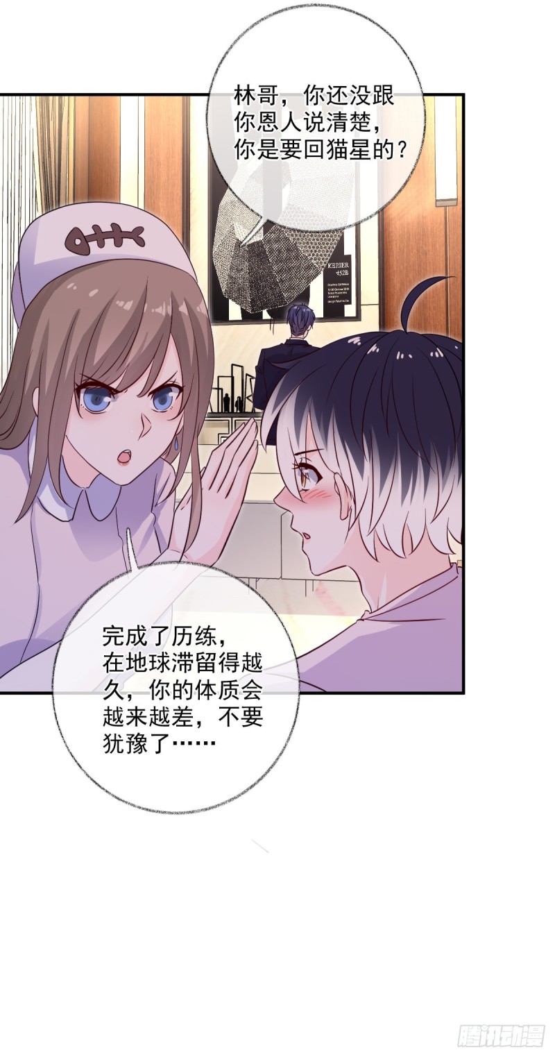 生病了喵~-第43话