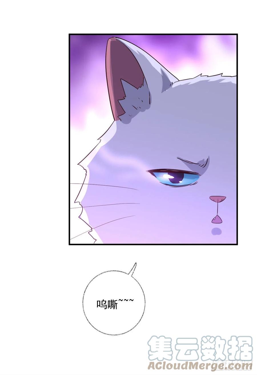 球长出关喵~-第41话