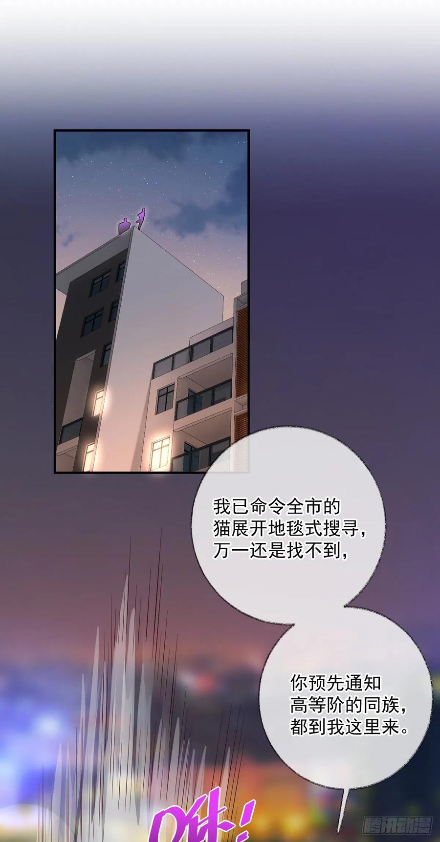球长出关喵~-第41话