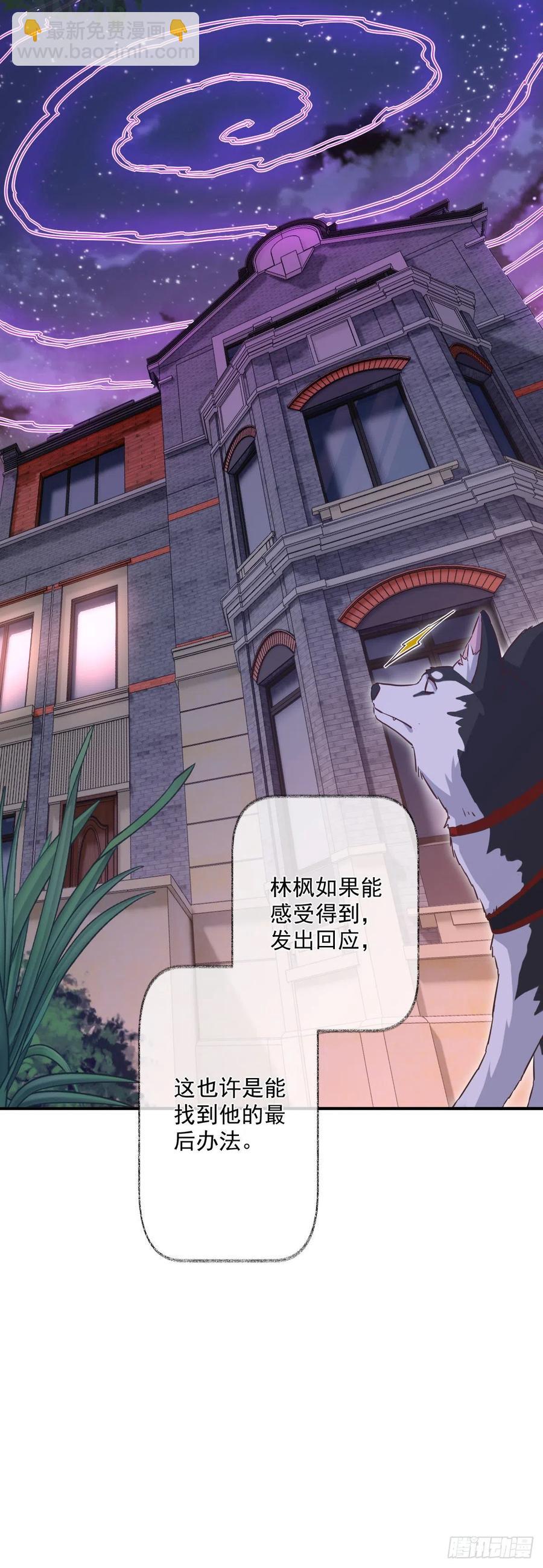 汪汪汪喵~-第47话
