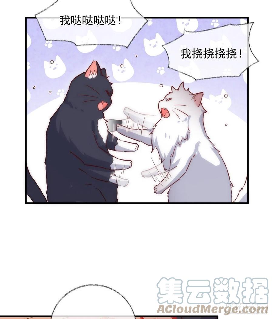 说不出再见喵~-第49话