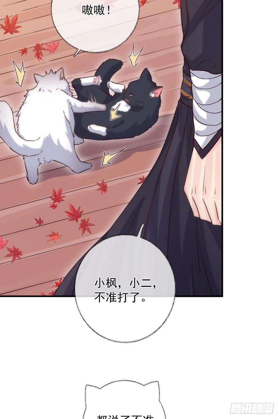 说不出再见喵~-第49话