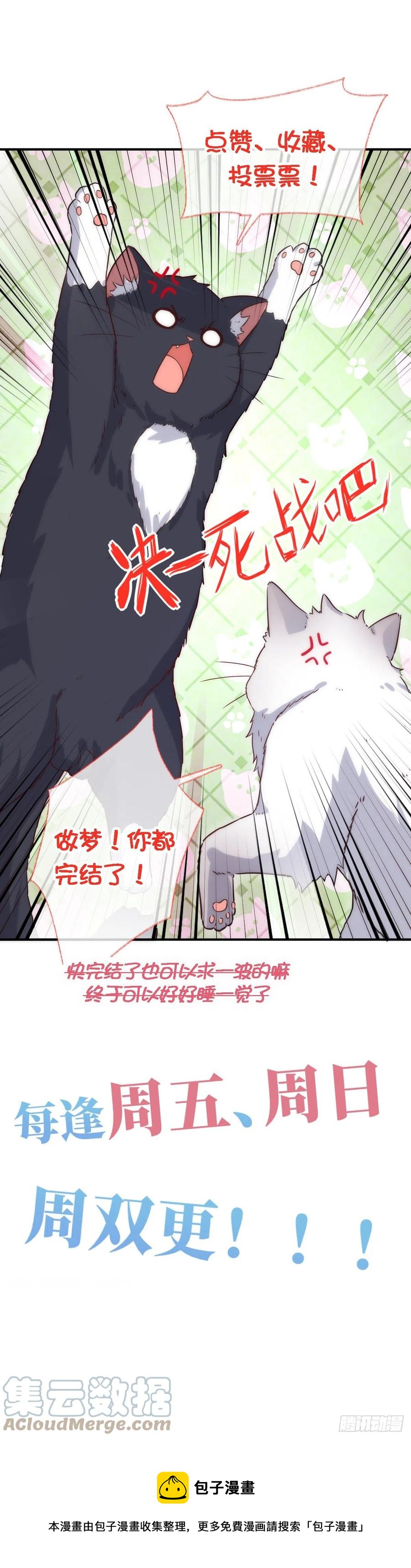 说不出再见喵~-第49话