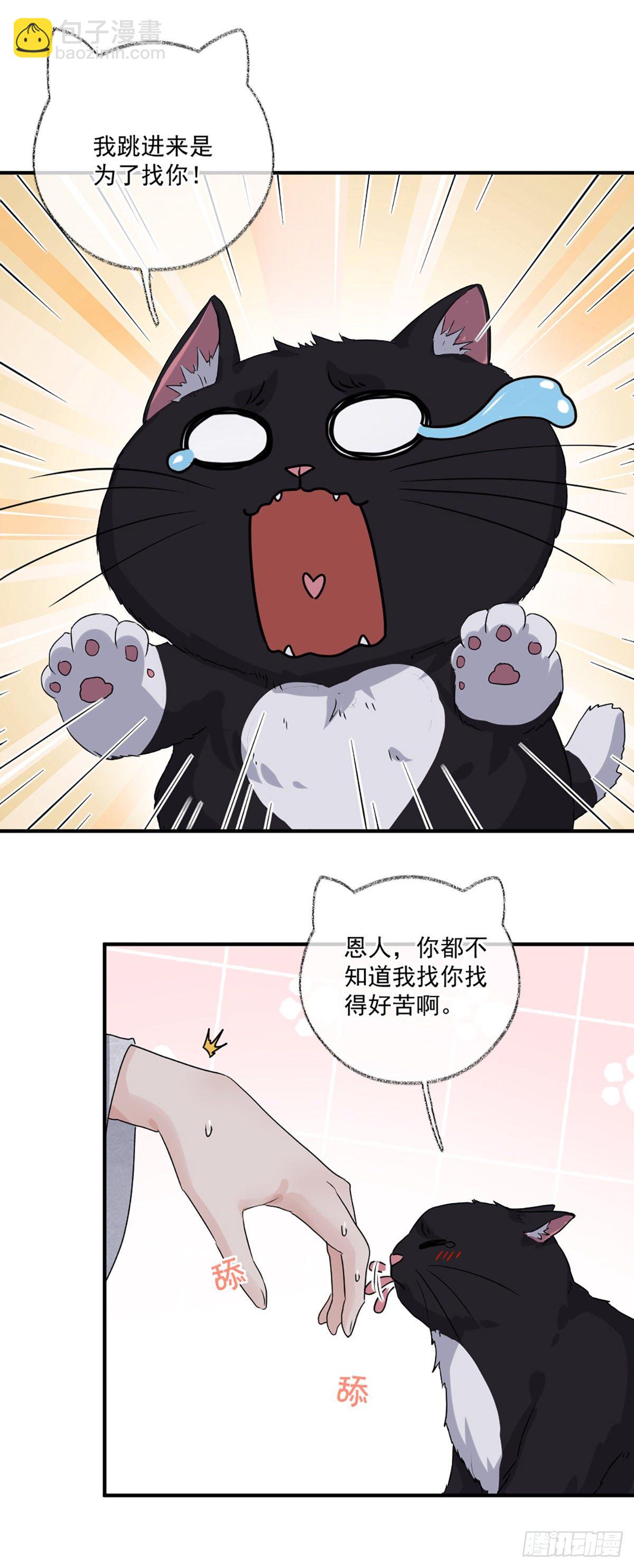 恩人嘴硬心软喵~-第7话