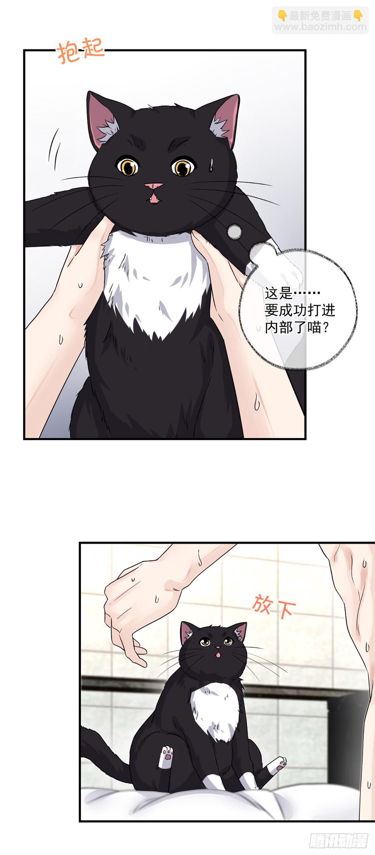恩人嘴硬心软喵~-第7话