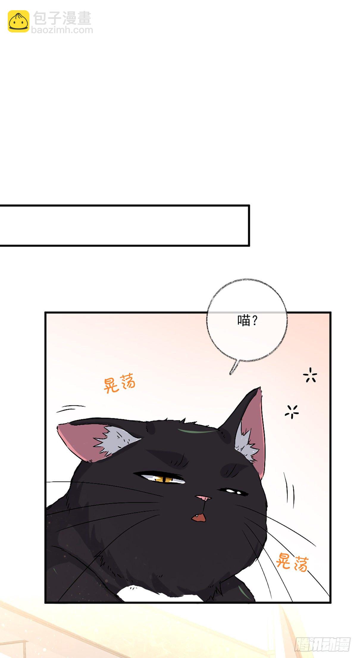 洗澡什么的最喜欢啦喵~-第9话