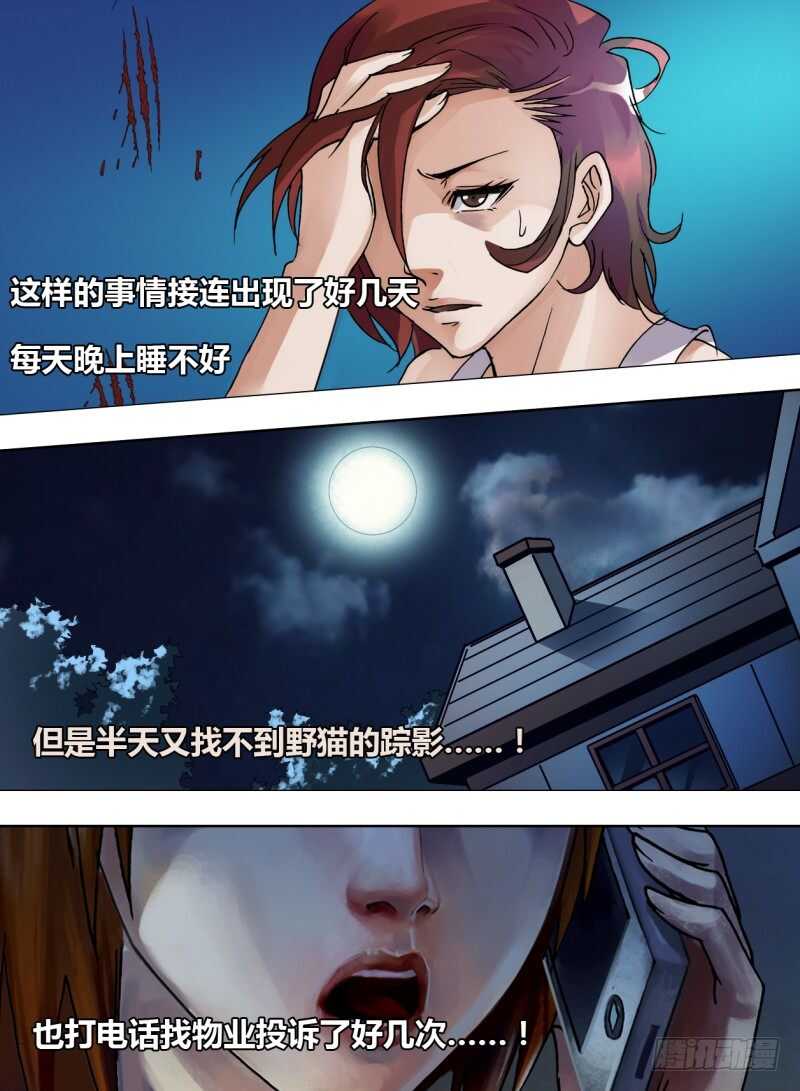 第二百四十一章 物是人非-第241话