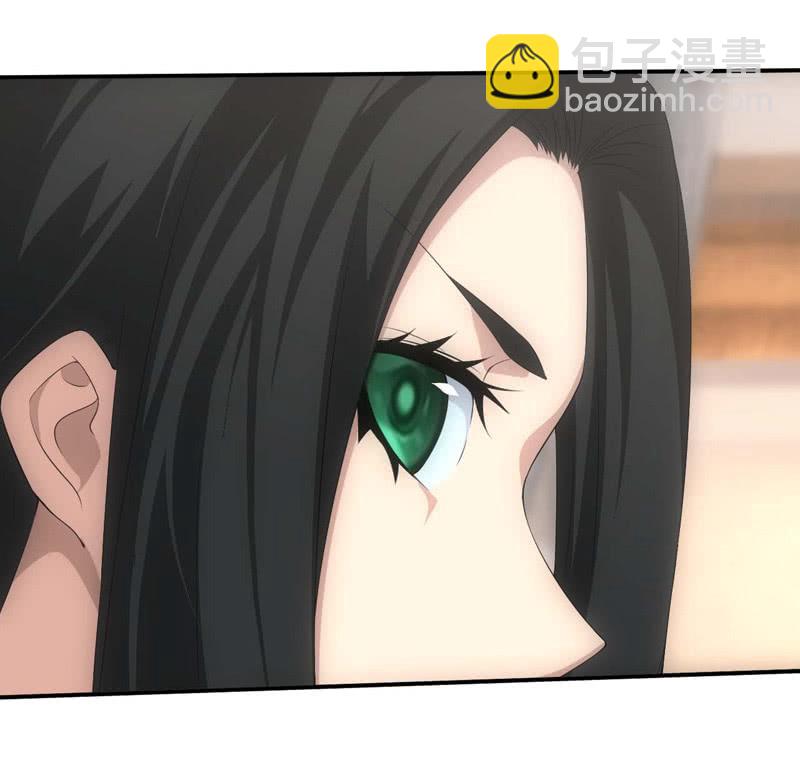 少主现身(1/2)-第195话