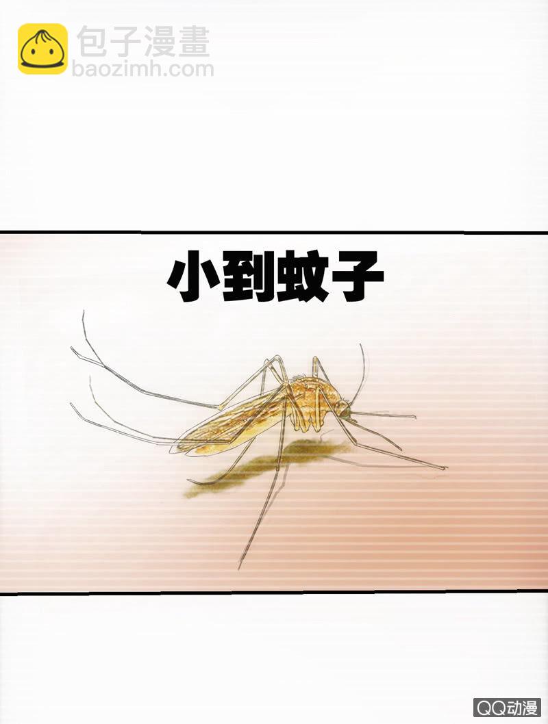 三人组(1/2)-第31话