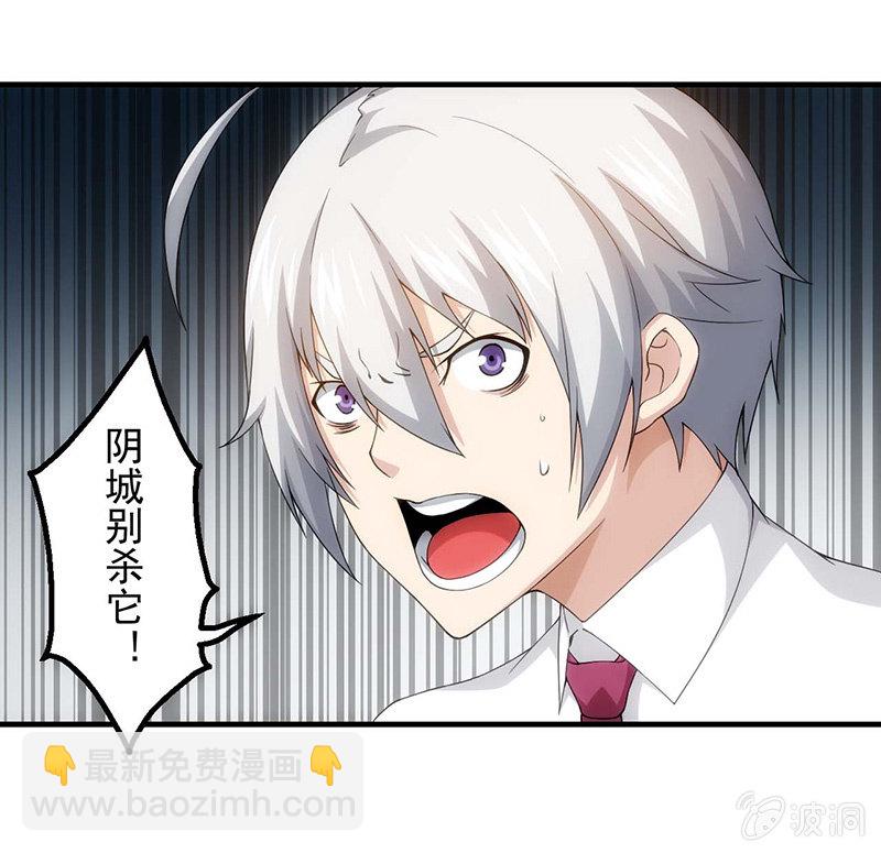争执(1/2)-第77话