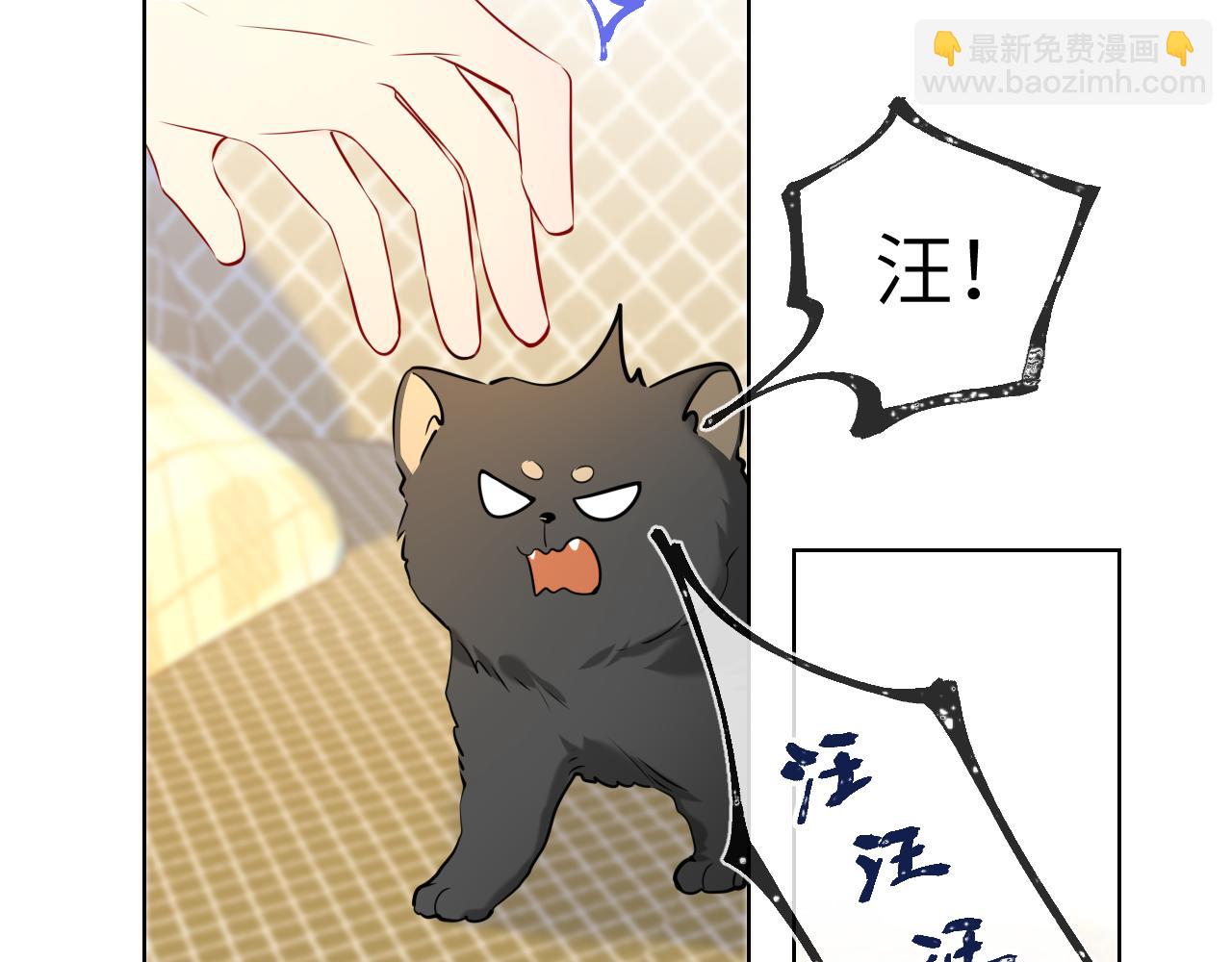 🍚星辰于我 第79话 住在隔壁的男人？ 第42页
