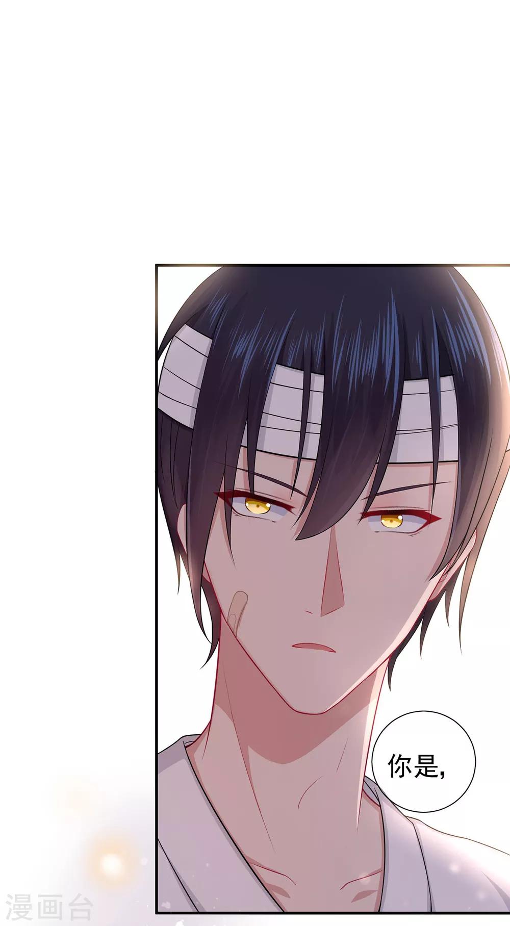 第41话 撕毁的协议-第45话